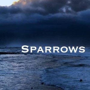 Sparrows in the dark