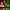 Reggaemotion -