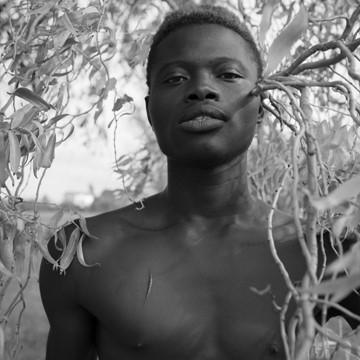Bashir Gningue