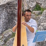 Arpista Belluco Daniele