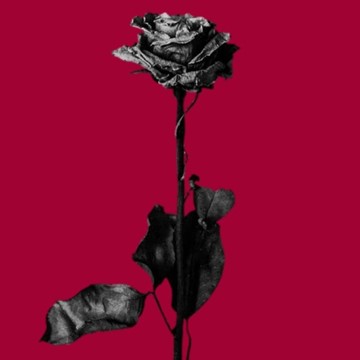 Noir Music