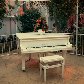 Pianista Varese