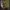 Vins -